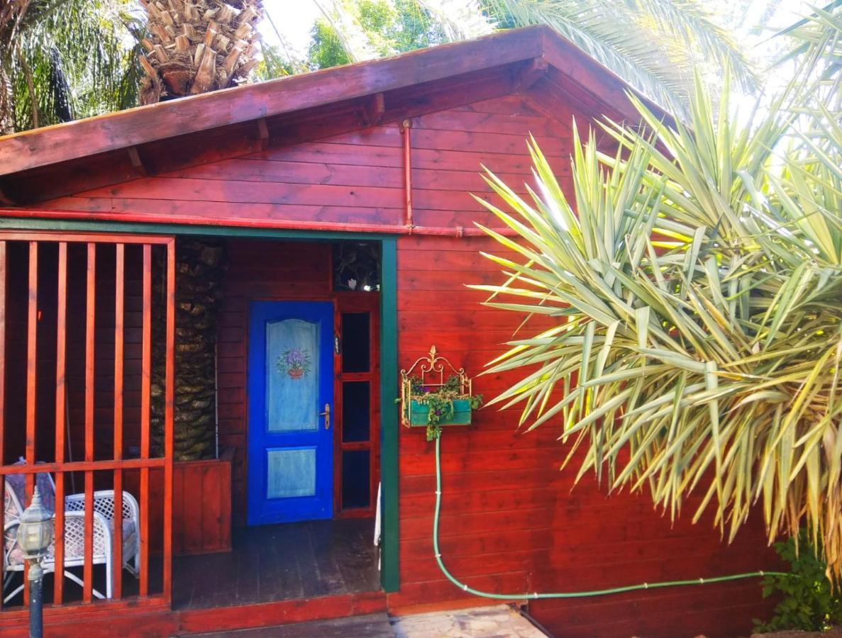 Suite In Nature Menaẖemya Kültér fotó